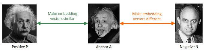 tripletLoss